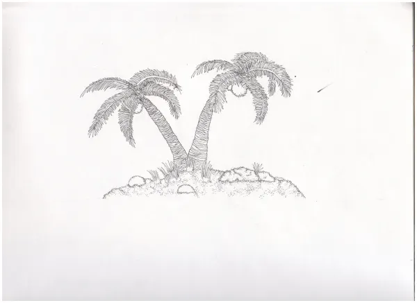 Palms